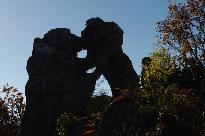 L'Ours et le Lion